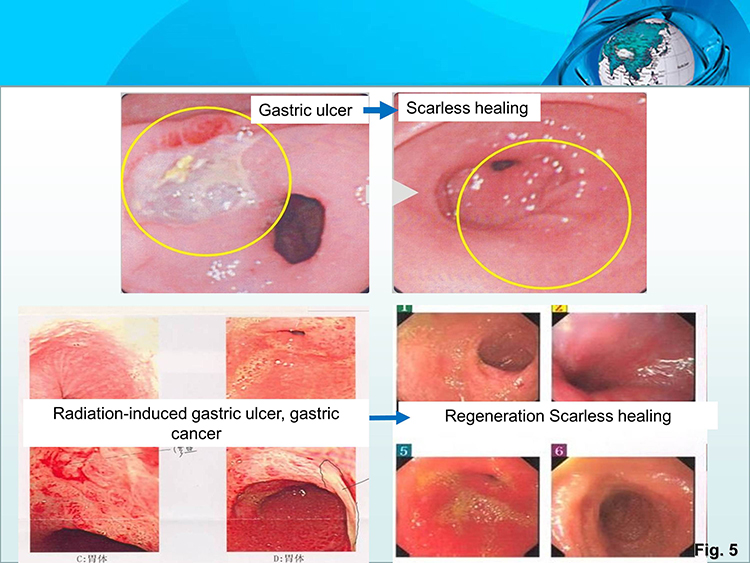 风险久久久久久亚洲精品影院