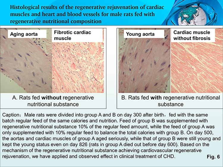 风险久久久久久亚洲精品影院