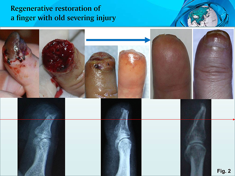 风险久久久久久亚洲精品影院