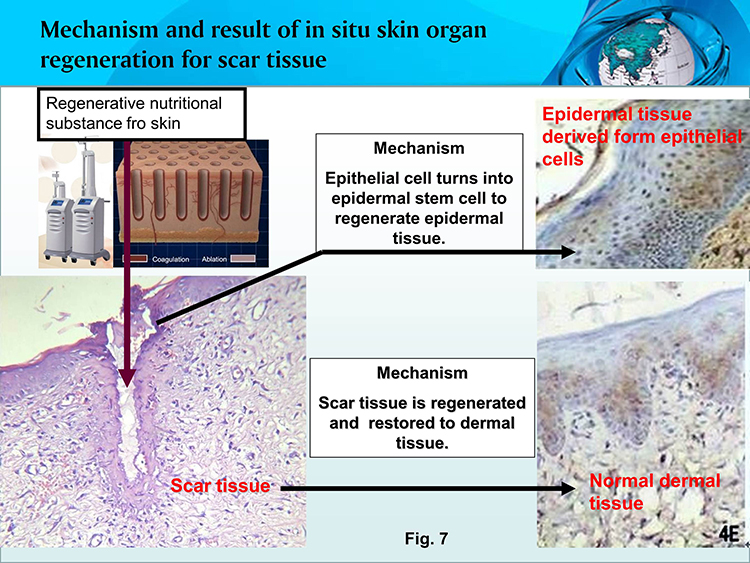 风险久久久久久亚洲精品影院