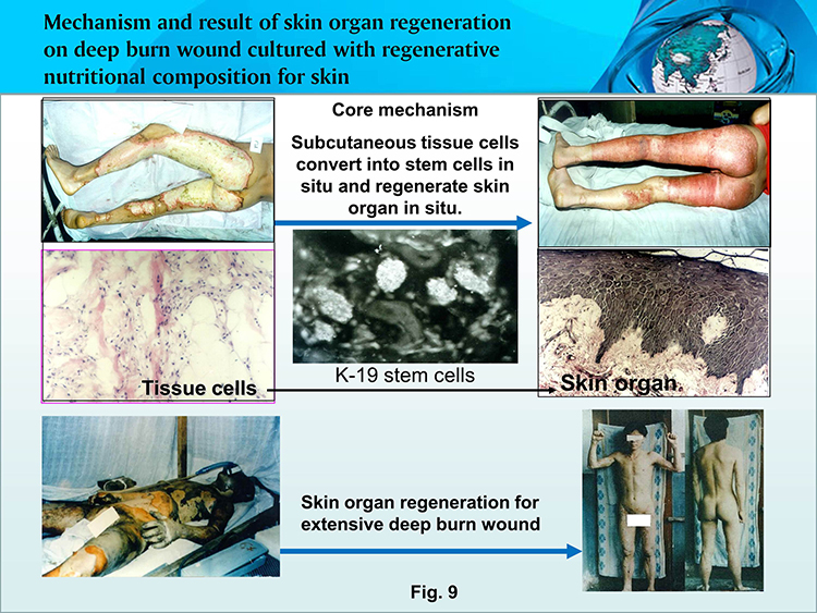 风险久久久久久亚洲精品影院