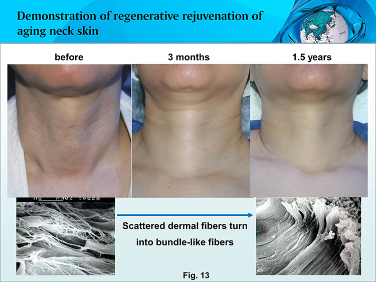 风险久久久久久亚洲精品影院
