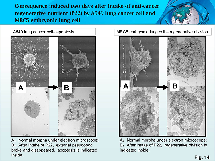 风险久久久久久亚洲精品影院