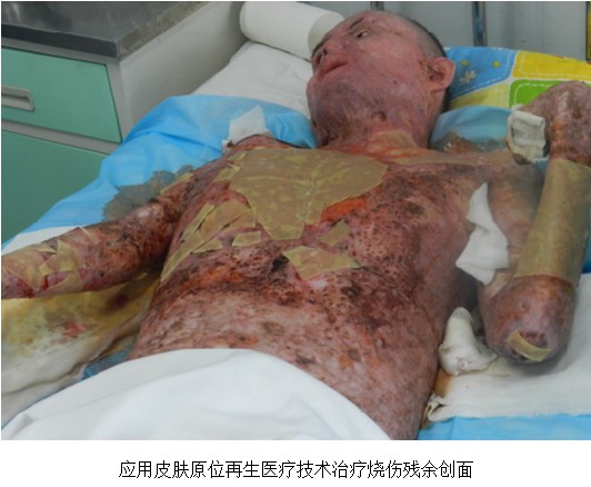 风险久久久久久亚洲精品影院