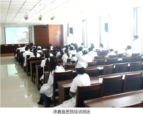 风险久久久久久亚洲精品影院