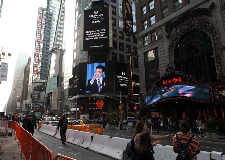 风险久久久久久亚洲精品影院