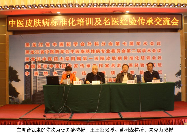 风险久久久久久亚洲精品影院