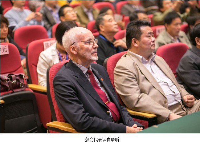 风险久久久久久亚洲精品影院