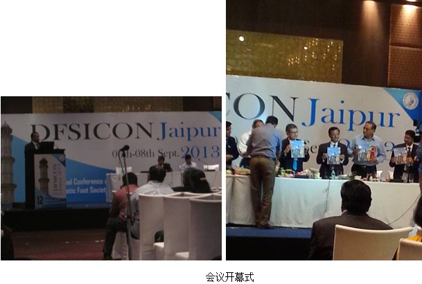 风险久久久久久亚洲精品影院