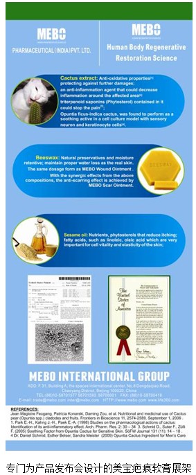 风险久久久久久亚洲精品影院