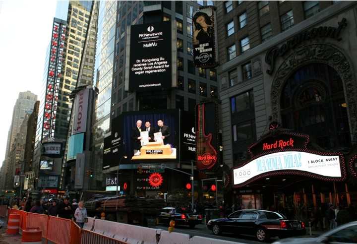 风险久久久久久亚洲精品影院