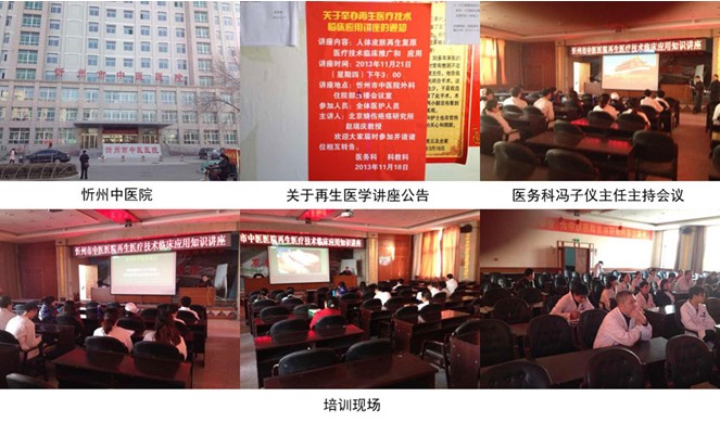 风险久久久久久亚洲精品影院