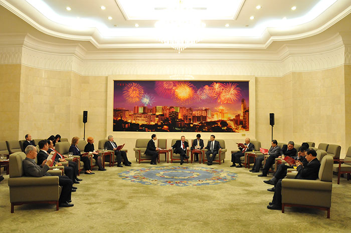 风险久久久久久亚洲精品影院