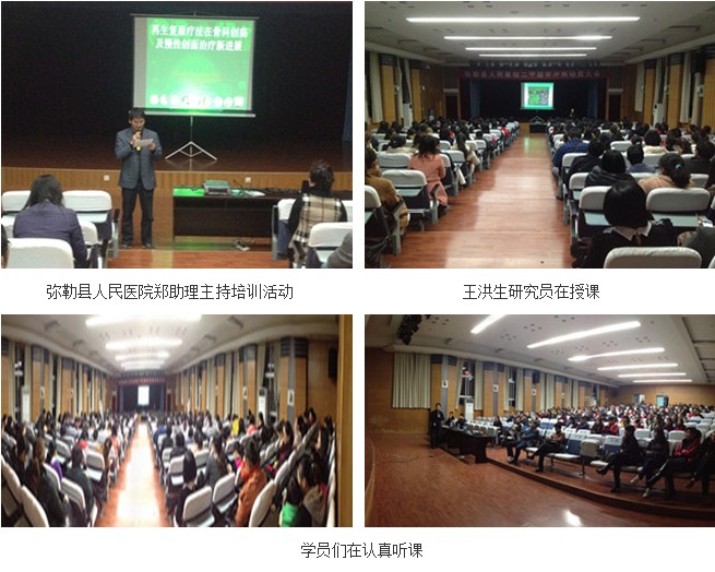 风险久久久久久亚洲精品影院