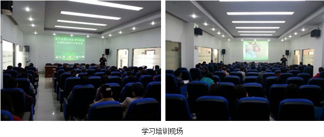 风险久久久久久亚洲精品影院