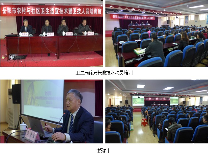 风险久久久久久亚洲精品影院