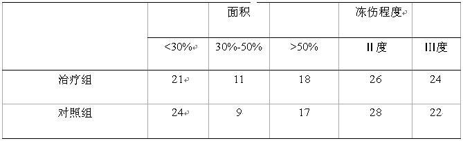 风险久久久久久亚洲精品影院