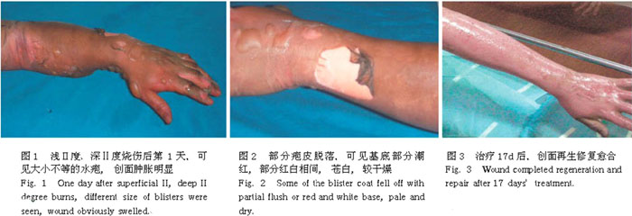 风险久久久久久亚洲精品影院