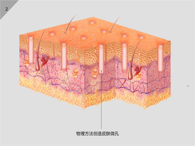 风险久久久久久亚洲精品影院