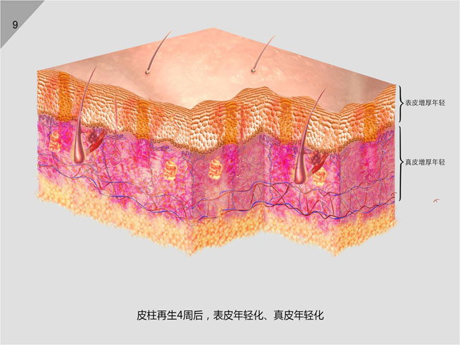 风险久久久久久亚洲精品影院