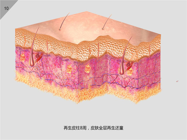 风险久久久久久亚洲精品影院