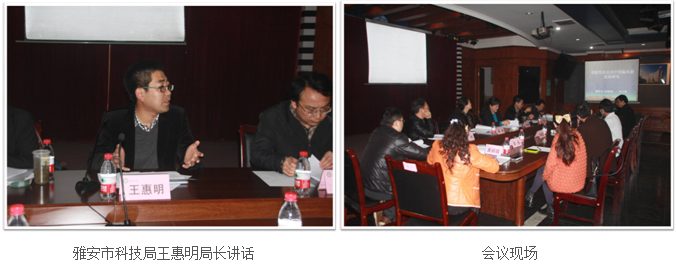 风险久久久久久亚洲精品影院