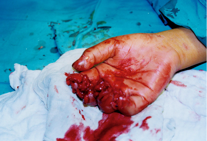 风险久久久久久亚洲精品影院