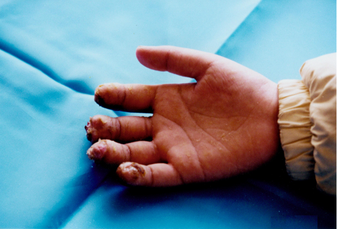 风险久久久久久亚洲精品影院