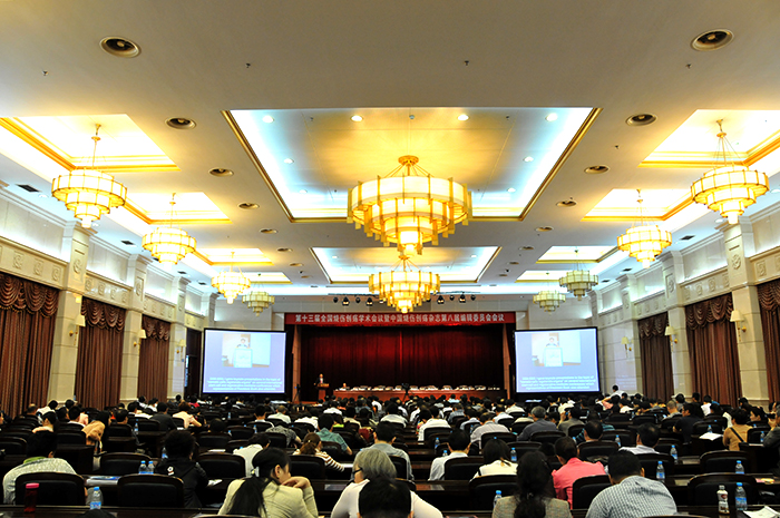 风险久久久久久亚洲精品影院