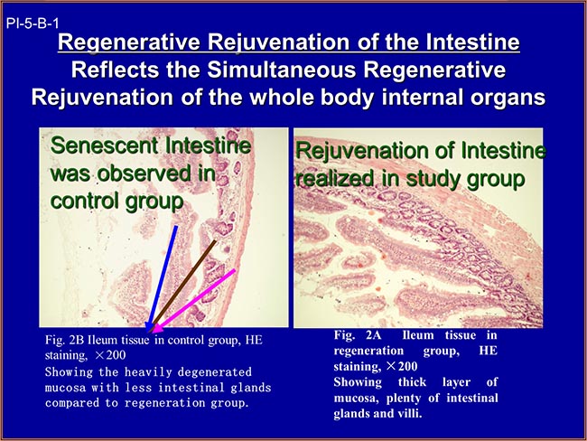 风险久久久久久亚洲精品影院