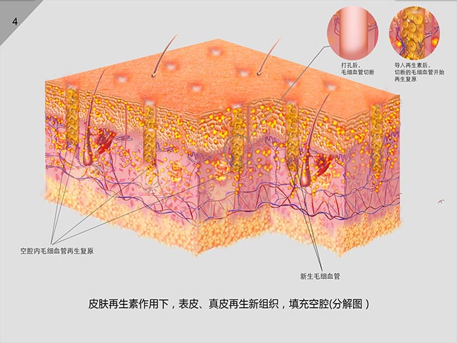 风险久久久久久亚洲精品影院
