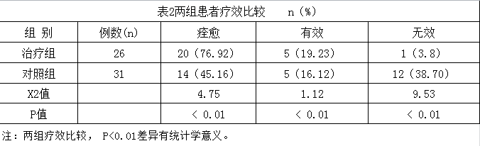 风险久久久久久亚洲精品影院