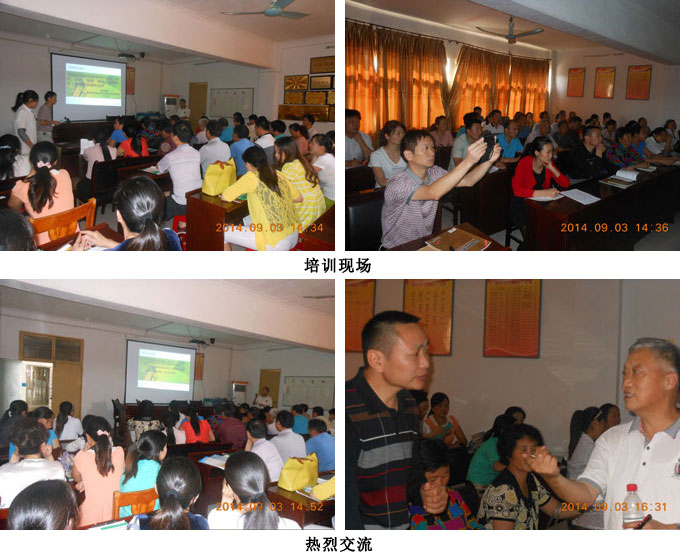 风险久久久久久亚洲精品影院