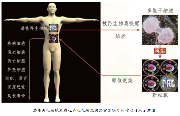 风险久久久久久亚洲精品影院