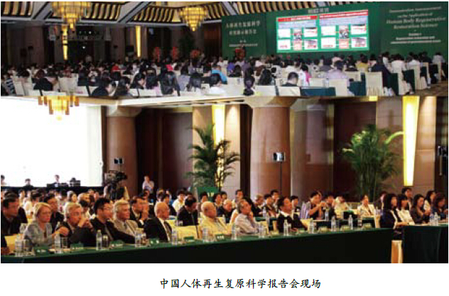 风险久久久久久亚洲精品影院