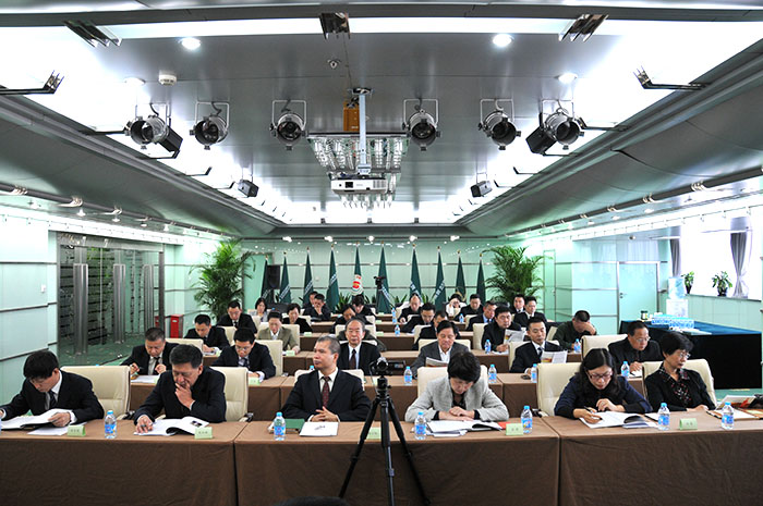 风险久久久久久亚洲精品影院