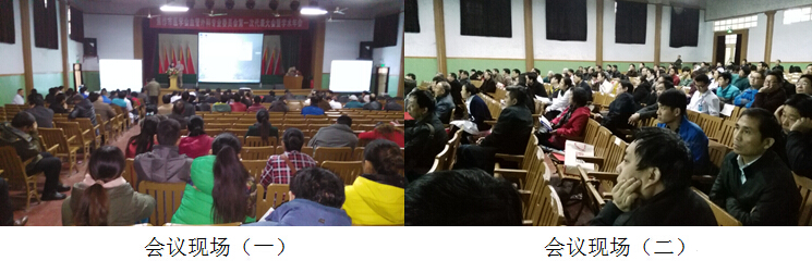 风险久久久久久亚洲精品影院