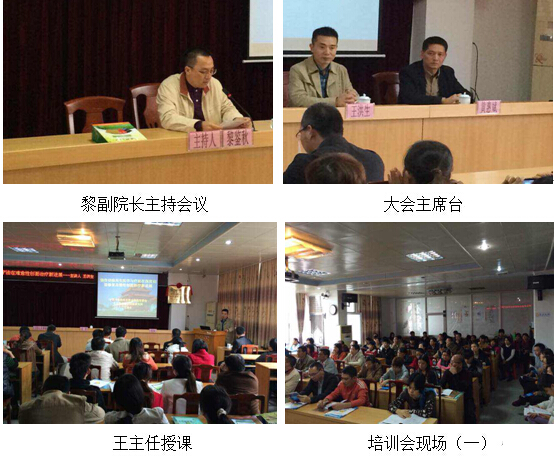 风险久久久久久亚洲精品影院