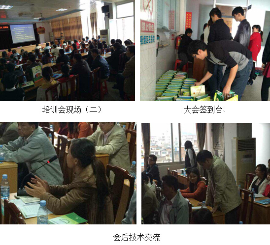 风险久久久久久亚洲精品影院