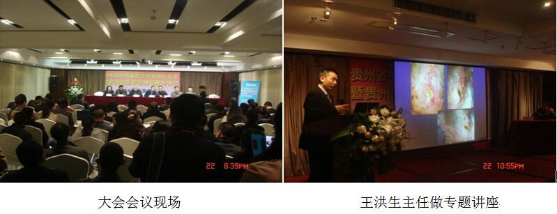 风险久久久久久亚洲精品影院