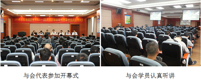 风险久久久久久亚洲精品影院