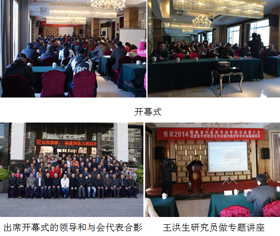 风险久久久久久亚洲精品影院