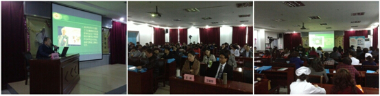 风险久久久久久亚洲精品影院