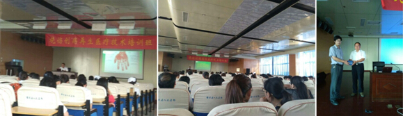 风险久久久久久亚洲精品影院