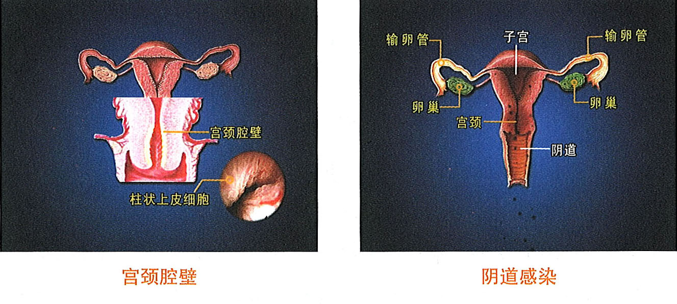风险久久久久久亚洲精品影院