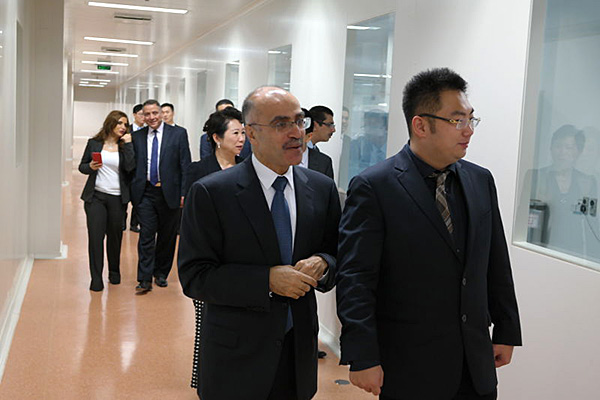 风险久久久久久亚洲精品影院