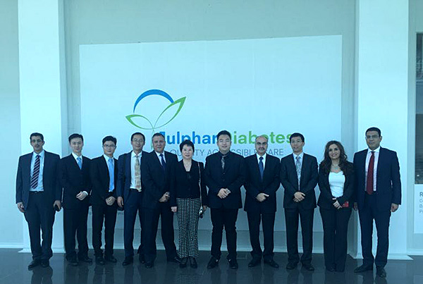 风险久久久久久亚洲精品影院