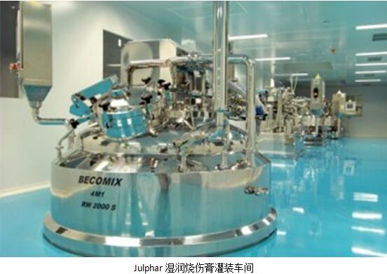 风险久久久久久亚洲精品影院