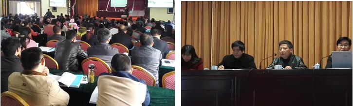 风险久久久久久亚洲精品影院