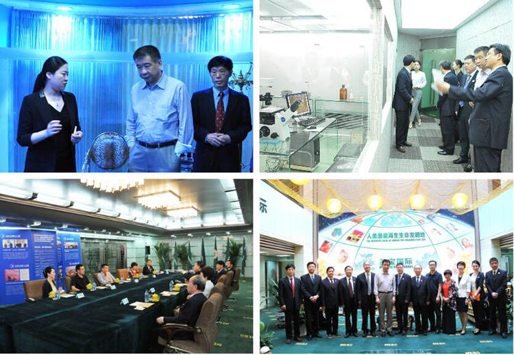 风险久久久久久亚洲精品影院